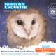 28 mars - Nuit de la Chouette - À la découverte des rapaces nocturnes