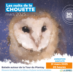 31 mars - Nuit de la Chouette- A la découverte des rapaces nocturnes