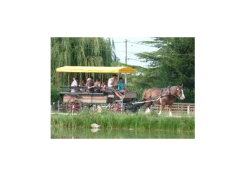 LES ATTELAGES DE LA DOMBES