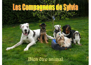 LES COMPAGNONS DE SYLVIA